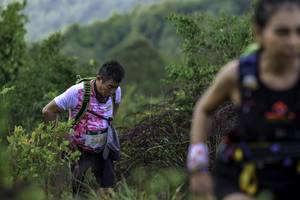 BIB: 2462
                            <button type="button" onclick="openModal(24764033)" class="btn btn-primary btn-sm float-right btn-popup" data-toggle="modal" data-target=".modal-high-quality">
                        <i class="fas fa-shopping-cart"></i> Add to Cart
                    </button>
                                            <button type="button" onclick="isThisMe(24764033, true)" class="btn btn-success btn-sm float-right btn-popup btn-isme hidden" data-toggle="tooltip" data-placement="bottom" title="นี่คือรูปของคุณใช่ไหม คลิกที่นี่เพื่อเอาเข้าอัลบั้ม">
                        <i class="fas fa-plus"></i> Add to album
                    </button>
                    <button type="button" onclick="isThisMe(24764033, false)" class="btn btn-warning btn-sm float-right btn-popup btn-isnotme hidden">
                        <i class="fas fa-ban"></i> Remove from album
                    </button>